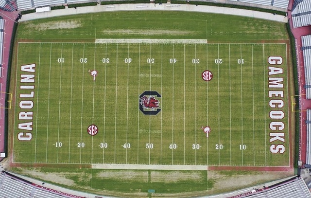 What Species of Grass is Used on The Field in Williams-Brice Stadium?