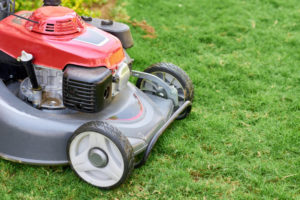 Lawn Care Service Columbia SC