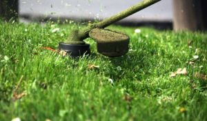 Lawn Care Columbia SC