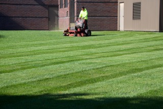 commercial lawn care columbia sc